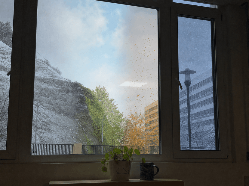 Outside the Company Window, Seeing All Four Seasons at a Glance
