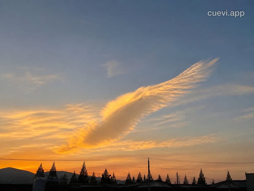 Today's Evening Clouds Look Just Like Beautiful Wings