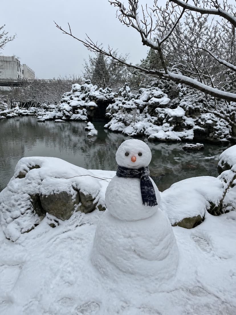 The Winter It Didn't Snow: Gifting a Snowman to Your Garden