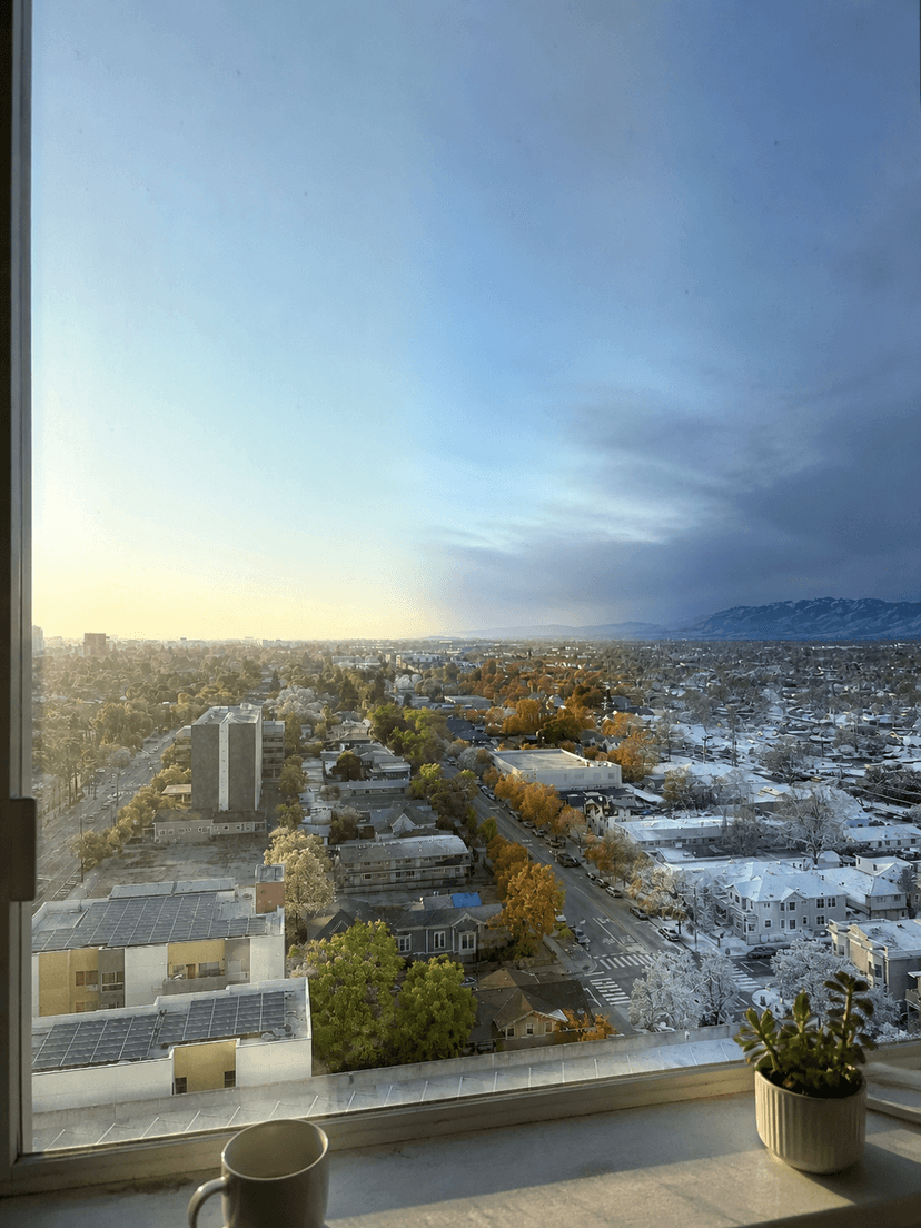 The view out your window, all four seasons at once