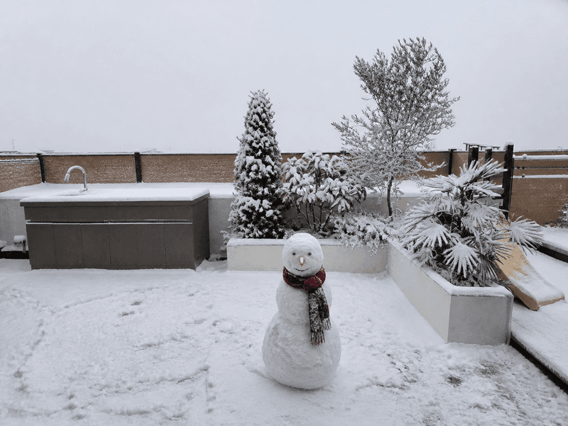 Beat the Summer Heat — Experience a Winter Wonderland First!